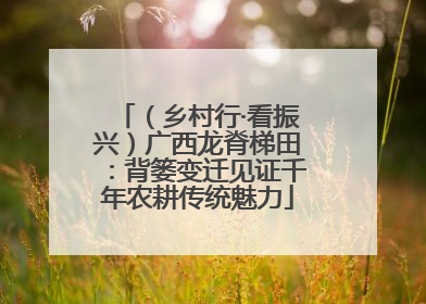 （乡村行·看振兴）广西龙脊梯田：背篓变迁见证千年农耕传统魅力