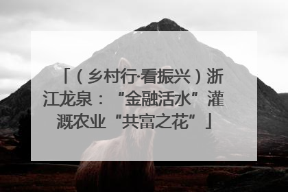 （乡村行·看振兴）浙江龙泉：“金融活水”灌溉农业“共富之花”