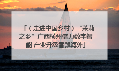 （走进中国乡村）“茉莉之乡”广西横州借力数字智能 产业升级香飘海外