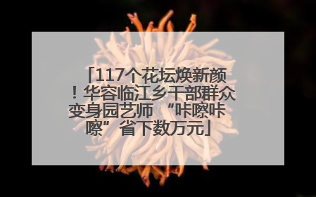117个花坛焕新颜！华容临江乡干部群众变身园艺师 “咔嚓咔嚓”省下数万元