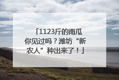 1123斤的南瓜你见过吗？潍坊“新农人”种出来了！
