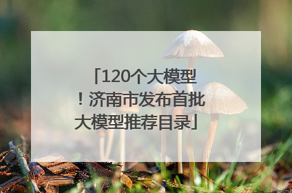 120个大模型！济南市发布首批大模型推荐目录