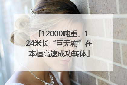 12000吨重、124米长“巨无霸”在本桓高速成功转体