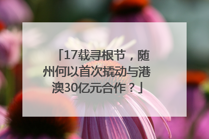 17载寻根节，随州何以首次撬动与港澳30亿元合作？