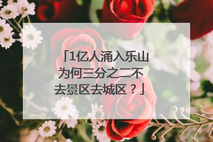 1亿人涌入乐山 为何三分之二不去景区去城区？