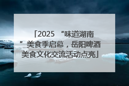 2025 “味道湖南”美食季启幕，岳阳啤酒美食文化交流活动点亮