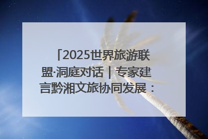 2025世界旅游联盟·洞庭对话｜专家建言黔湘文旅协同发展：聚焦产品稀缺性 深化区域经验共享