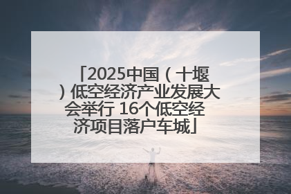 2025中国（十堰）低空经济产业发展大会举行 16个低空经济项目落户车城