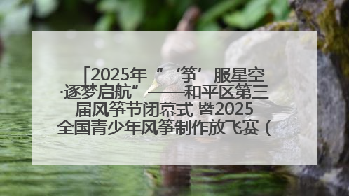 2025年“‘筝’服星空·逐梦启航”——和平区第三届风筝节闭幕式 暨2025全国青少年风筝制作放飞赛（沈阳站）颁奖仪式
