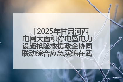 2025年甘肃河西电网大面积停电暨电力设施抢险救援政企协同联动综合应急演练在武威成功举行