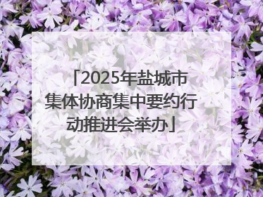 2025年盐城市集体协商集中要约行动推进会举办