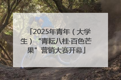 2025年青年（大学生）“青耘八桂·百色芒果”营销大赛开幕