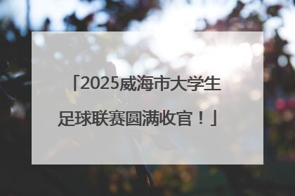 2025威海市大学生足球联赛圆满收官！