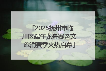 2025抚州市临川区端午龙舟赛暨文旅消费季火热启幕
