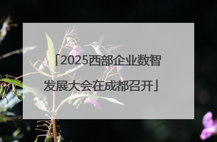 2025西部企业数智发展大会在成都召开
