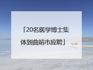 20名医学博士集体到曲靖市应聘