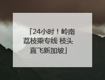 24小时！岭南荔枝乘专线 枝头直飞新加坡