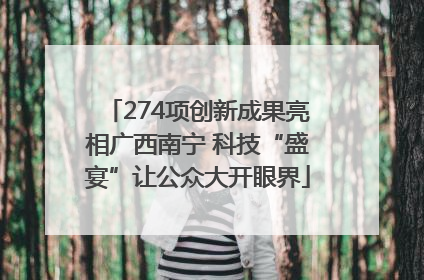 274项创新成果亮相广西南宁 科技“盛宴”让公众大开眼界