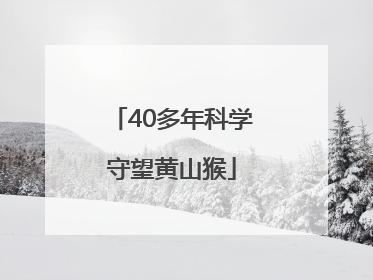 40多年科学守望黄山猴
