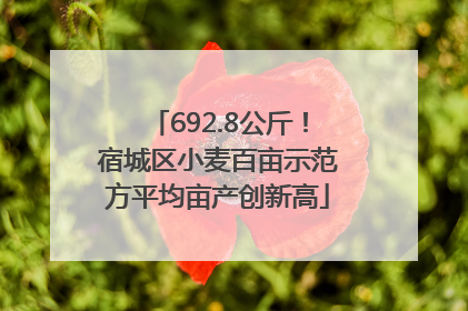 692.8公斤！宿城区小麦百亩示范方平均亩产创新高