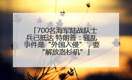 700名海军陆战队士兵已抵达 特朗普：骚乱事件是“外国入侵”，要“解放洛杉矶”