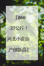 866.27公斤！河北小麦亩产创新高