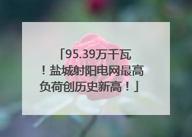 95.39万千瓦！盐城射阳电网最高负荷创历史新高！