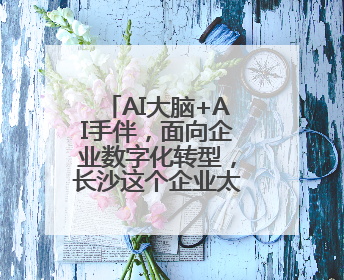 AI大脑+AI手伴，面向企业数字化转型，长沙这个企业太会整活了！