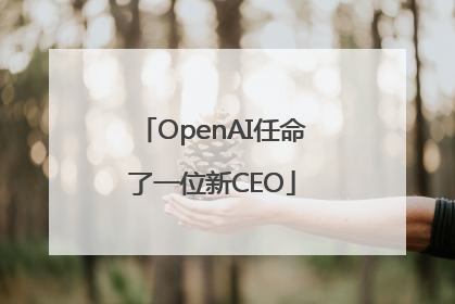 OpenAI任命了一位新CEO